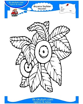 Çocuklar İçin Yaban Mersini Boyama Sayfaları 